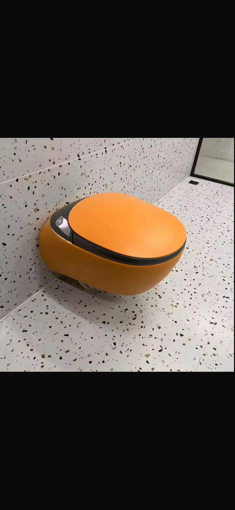 Smart toilet