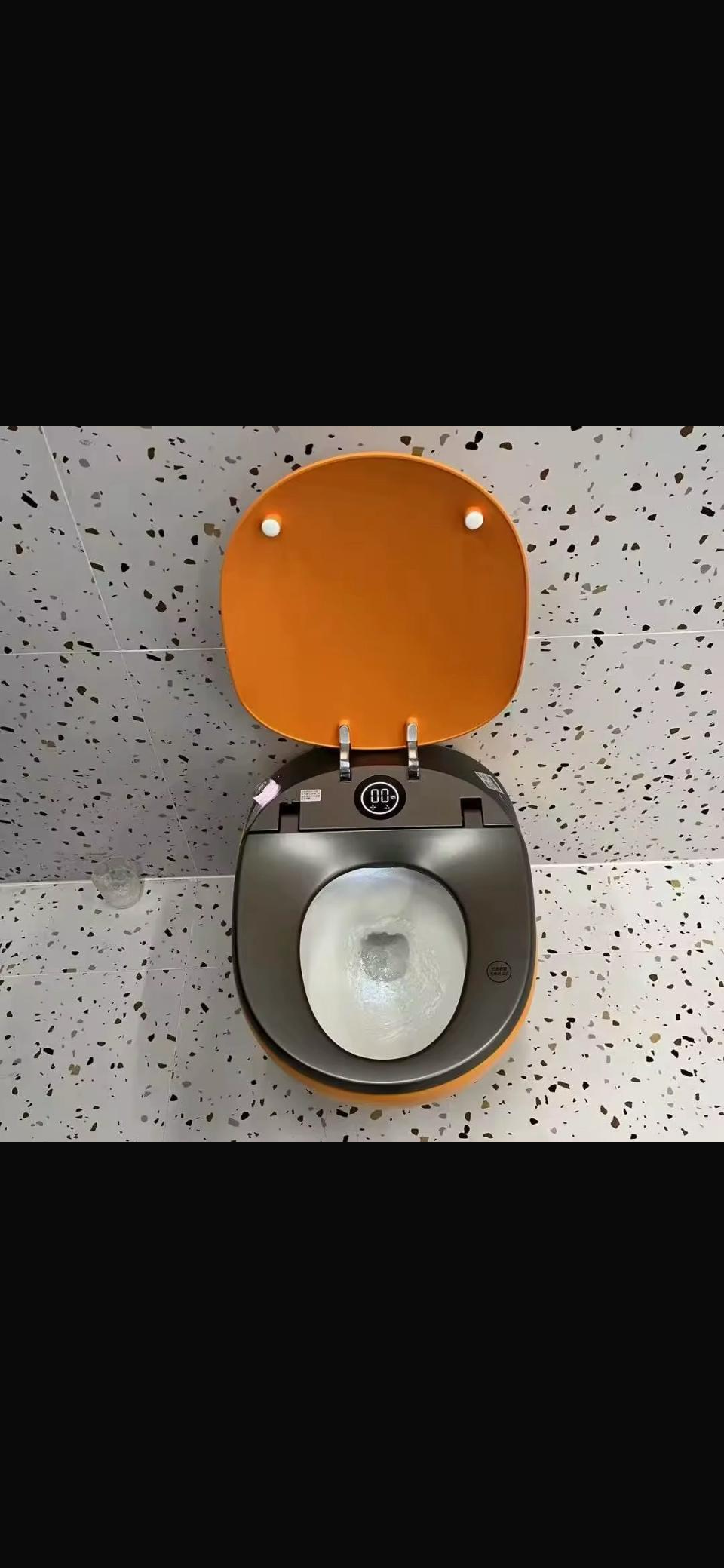 Smart toilet