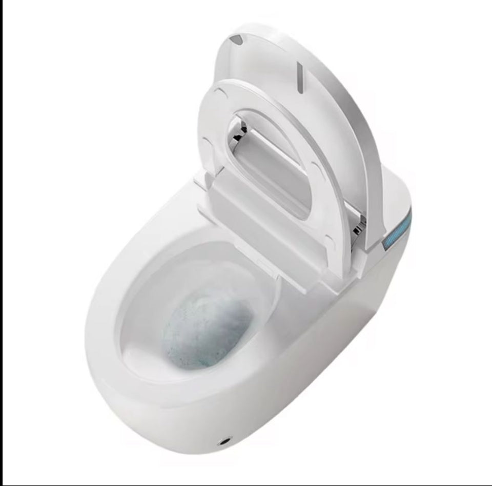 Smart toilet