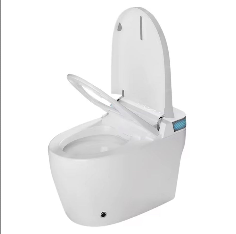 Smart toilet