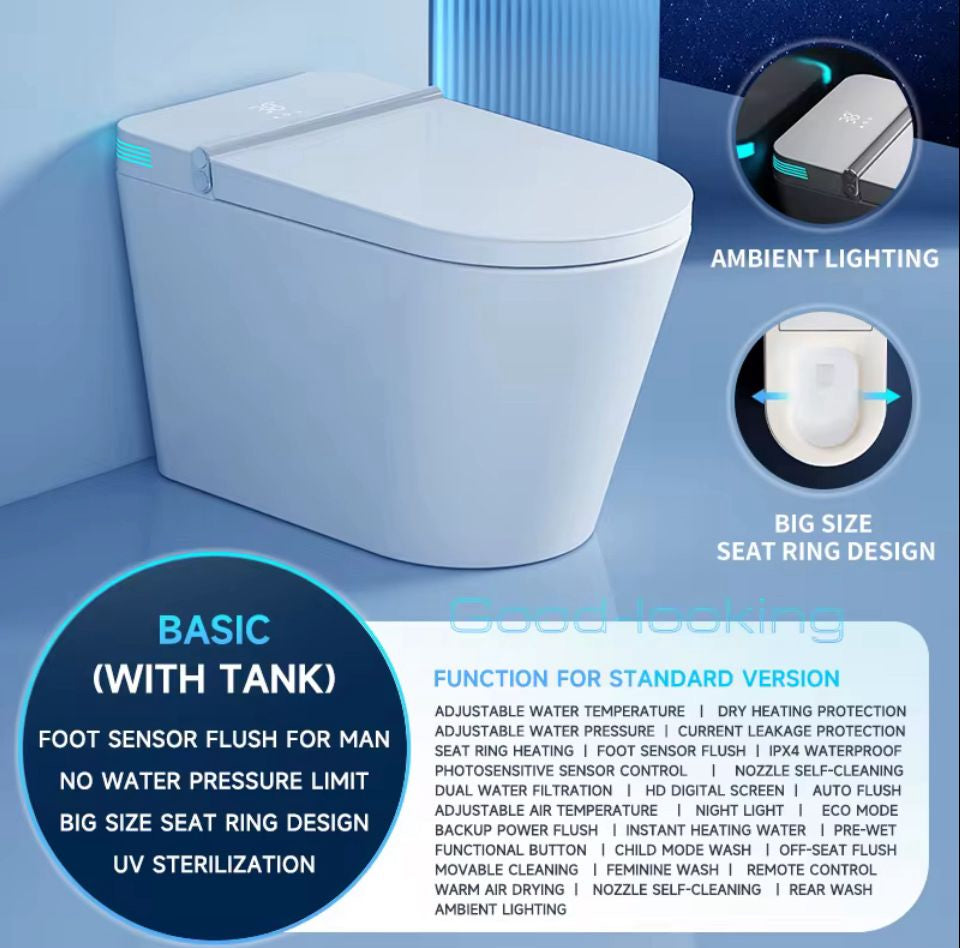 model Smart toilet