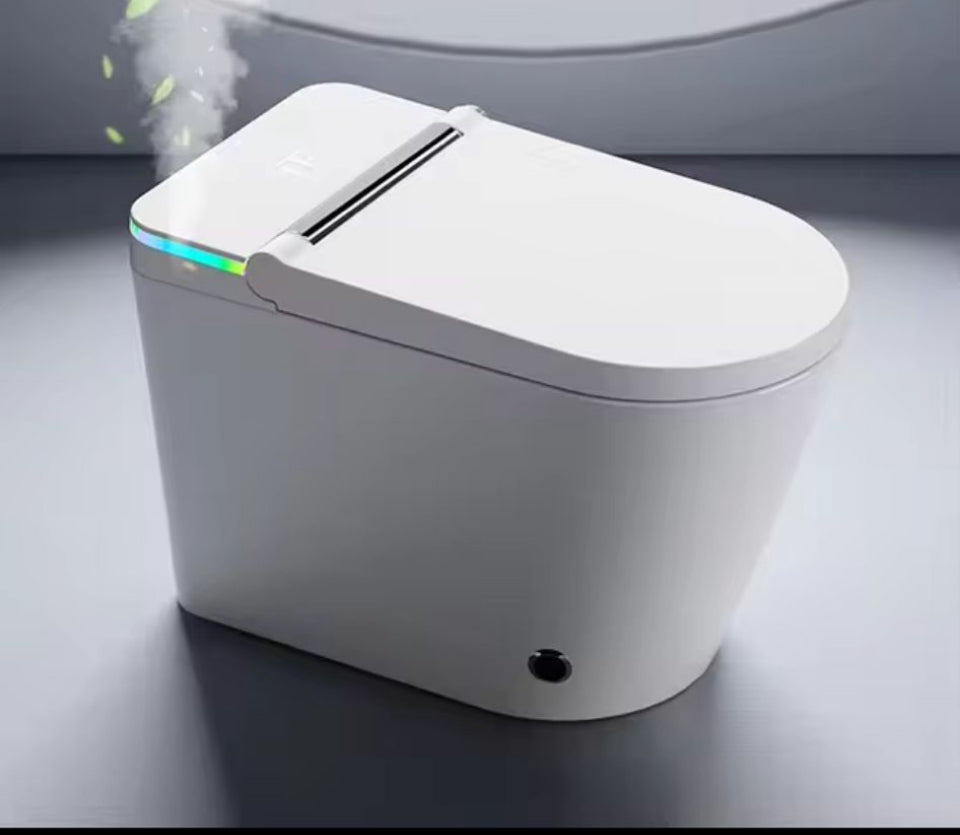 model Smart toilet