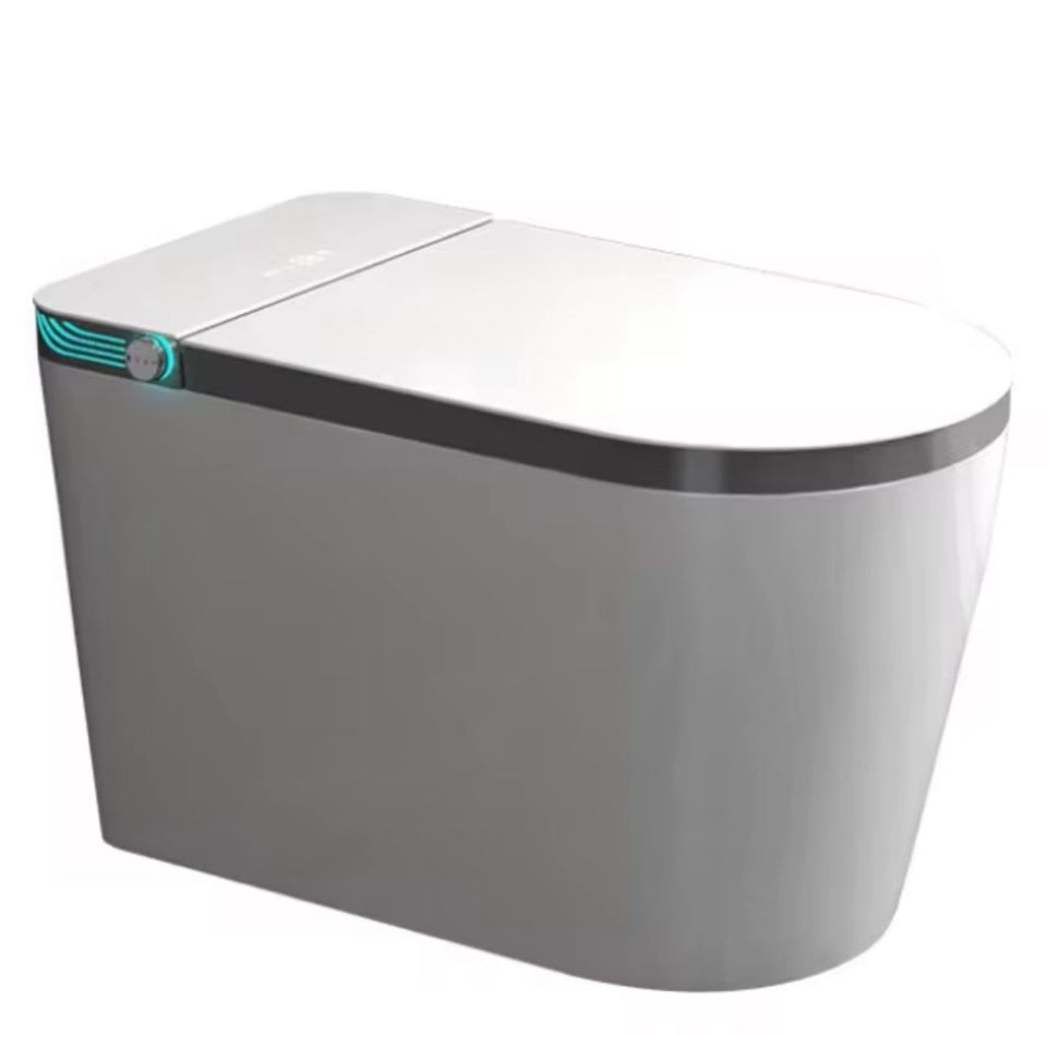 model Smart toilet