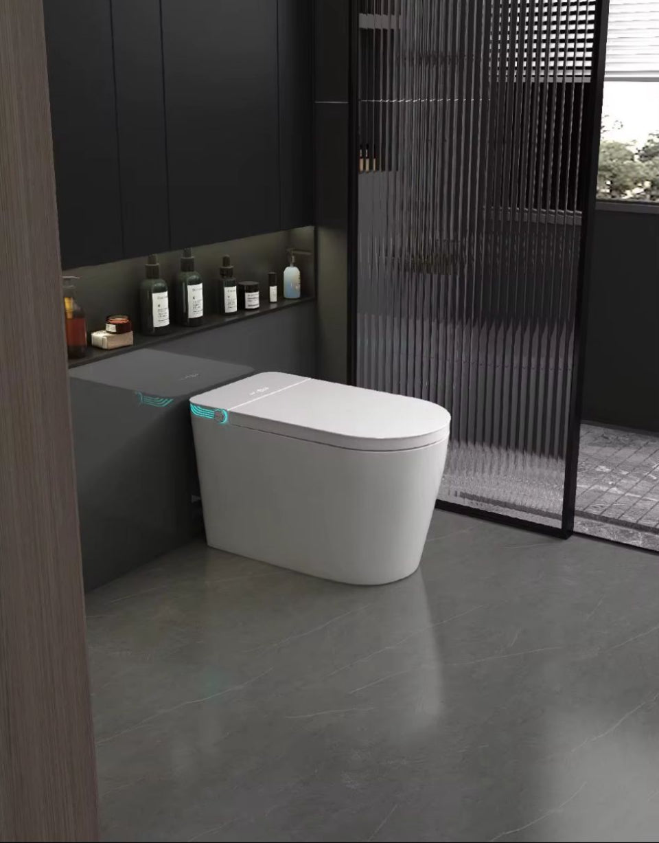 model Smart toilet