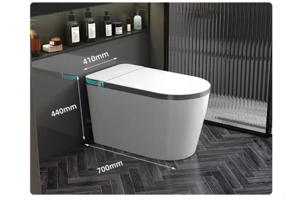 model Smart toilet